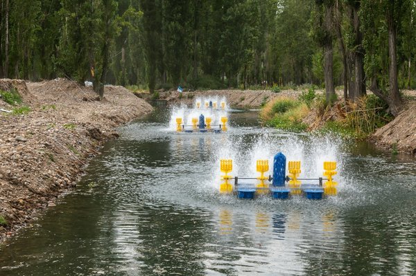 What Are the Latest Techniques in Sustainable Aquaculture in the UK?