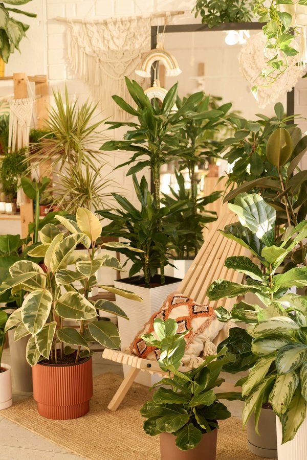 How Can Biophilic Design in Workplaces Improve Employee Well-being and Productivity?